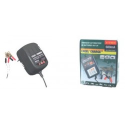 Chargeur de batterie automatique tondeuse autoportée