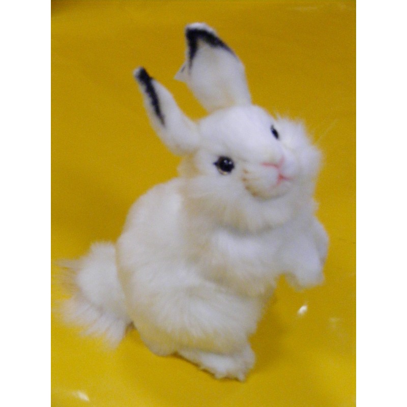 Peluche Lapin - Blanc