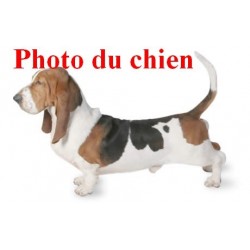 Pendentif Basset hound