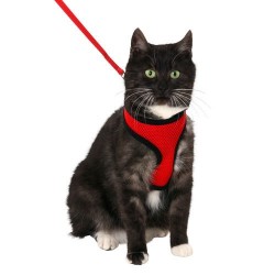 Harnais chaton rouge noir