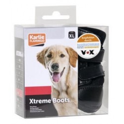 Chaussures Xtreme