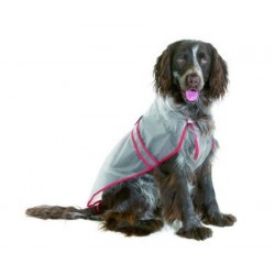 Imperméable transparent pour chien